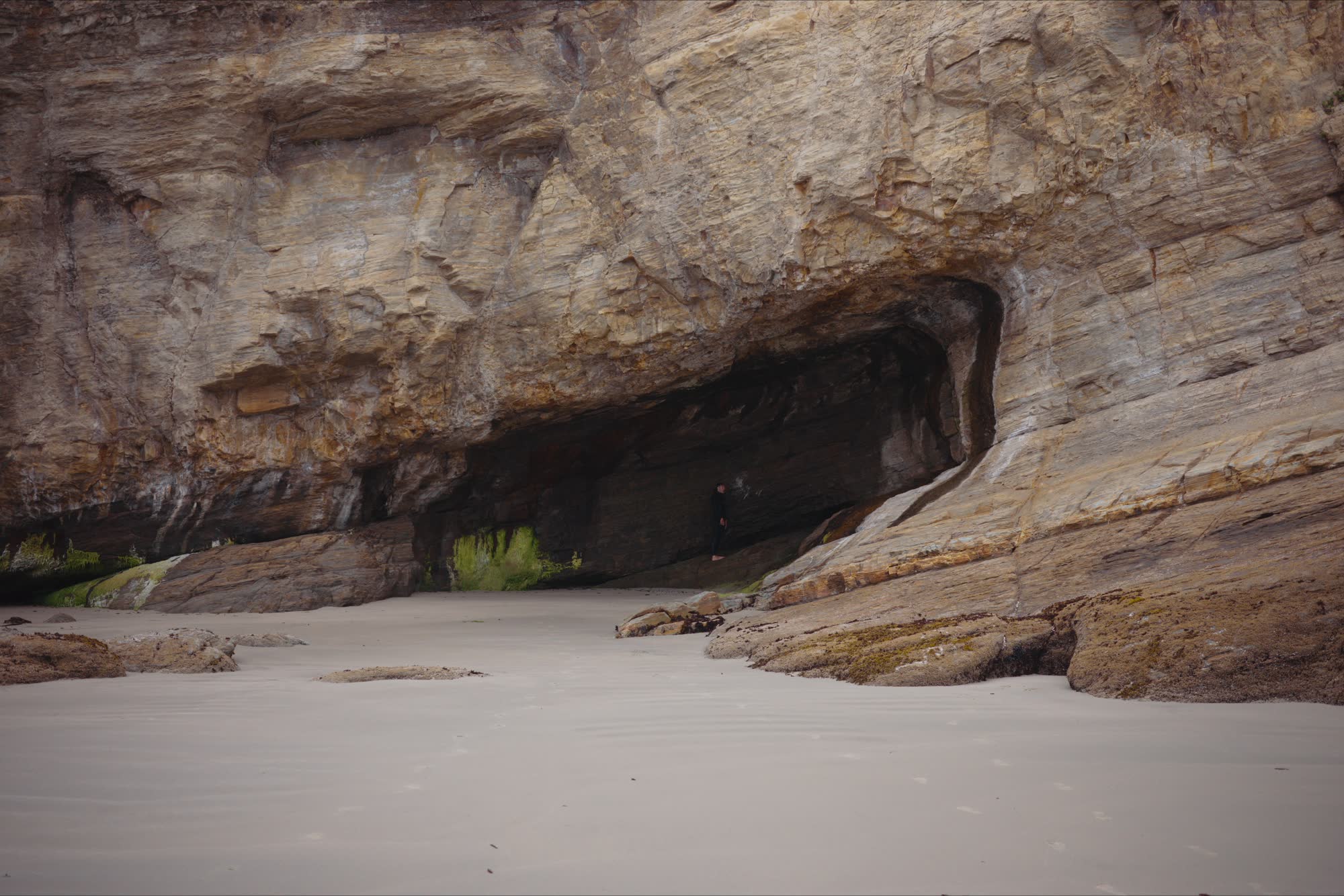 Otter Rock