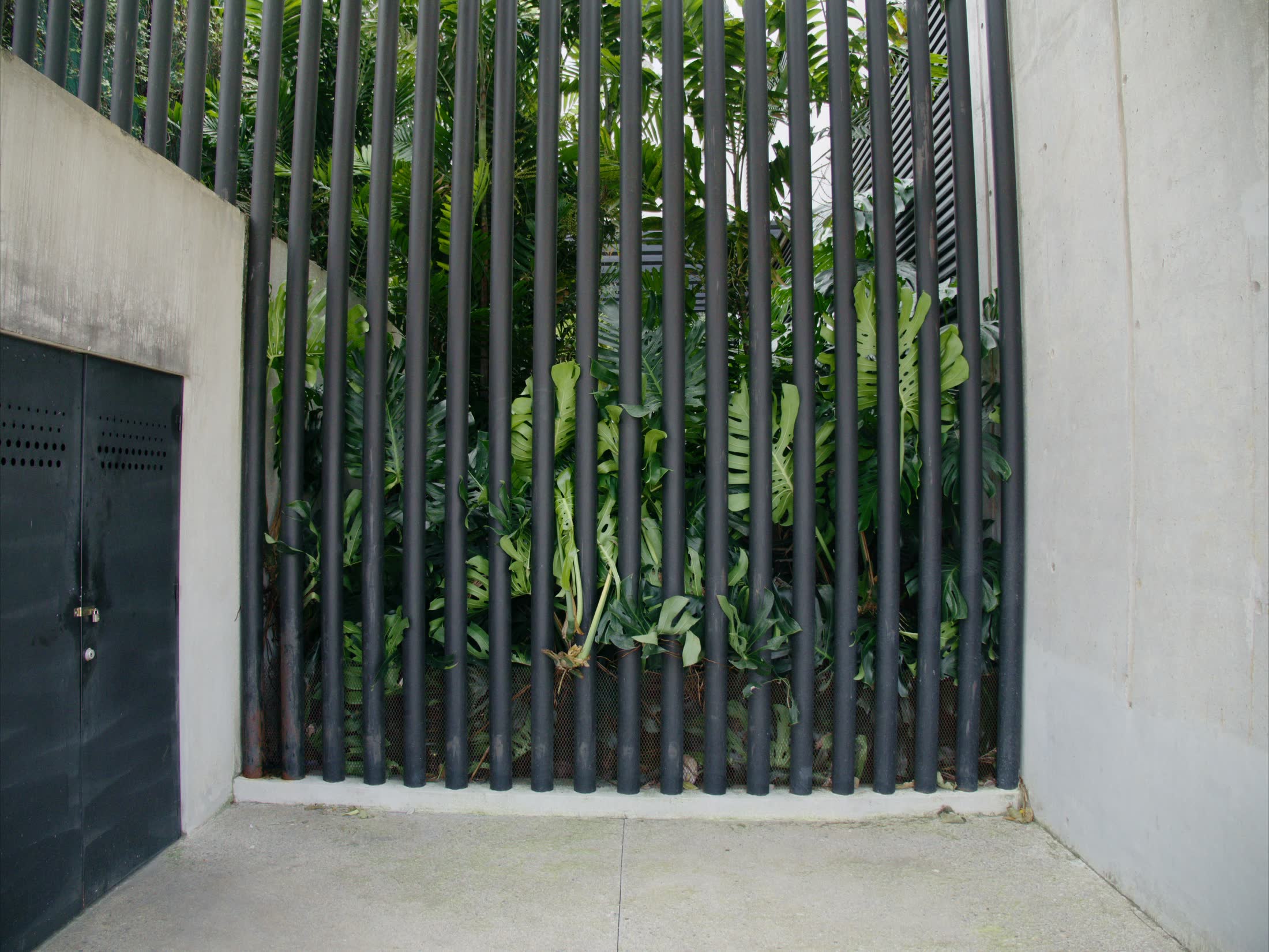 Trapped Plants